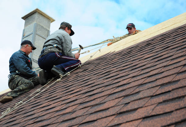Roof Gutter Cleaning in Cut Bank, MT